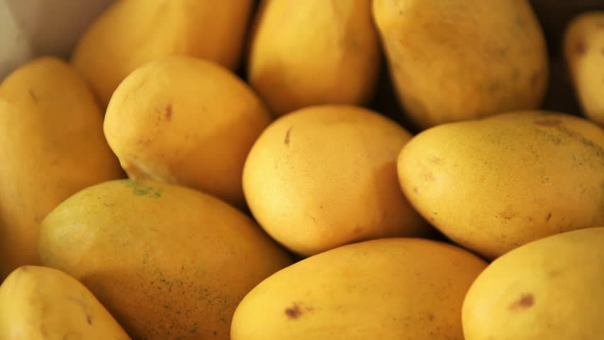 Champagne mango, ataulfo adolfo yellow mangos fruit on retail stand display at store supermarket store from Ecuador