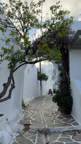 Quiet narrow alley with whitewashed houses and trees in a traditional Cycladic village on a Greek island. Antiparos, Greece.