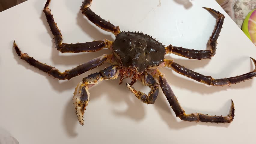 Preparing a live Shanghai hairy crab at home, with a cook cutting the crab using a large cleaver on a wooden cutting board to remove the meat from the hard shell before steaming in a kitchen setting.