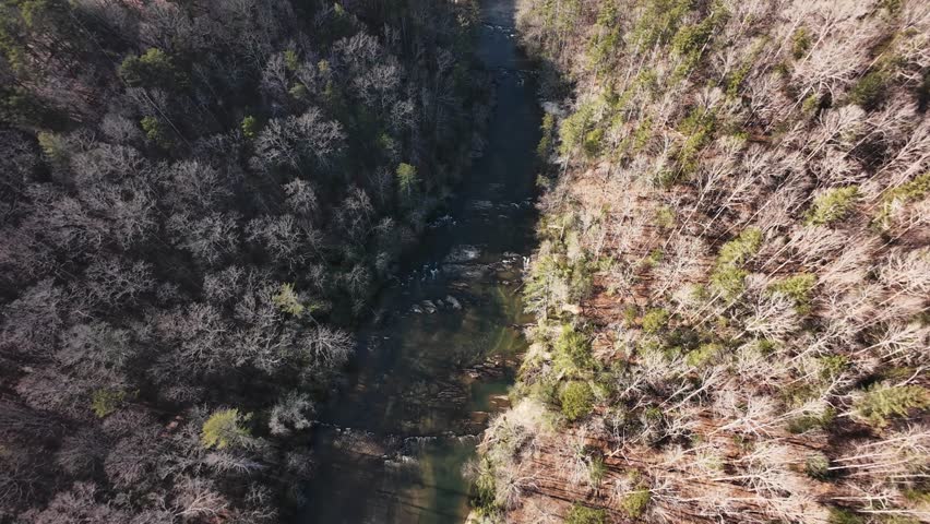 Cinematic aerial drone footage of the Upper Chattahoochee River winding through the forested landscape of North Georgia. Captured in natural light, the river curves between hardwood trees and rolling hills, creating a peaceful southern wilderness scene. Ideal for travel, tourism, environmental conservation, and nature background content.
