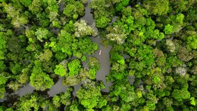 Top-down drone shot of lush Amazon rainforest canopy with a classic boat on amazon river near Manaus, Brazil - Powered by Shutterstock - Get 15% off with code: PIKWIZARD15