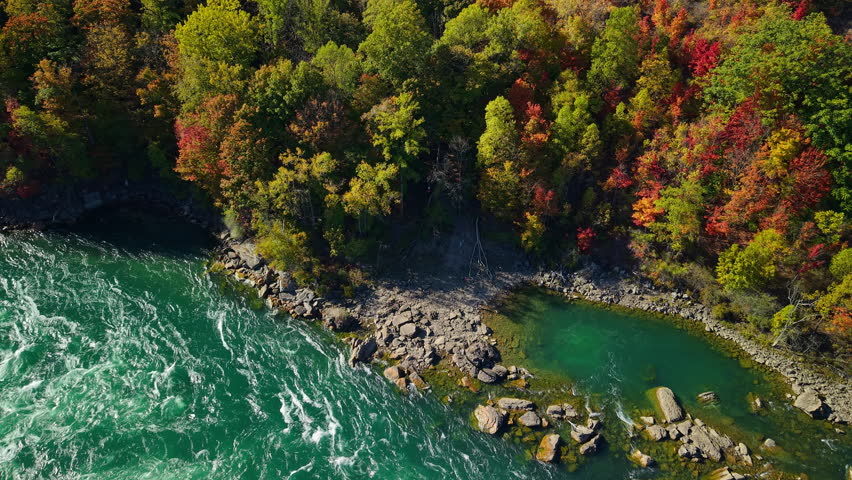 Aerial view of Niagara River shoreline with autumn forest and rapids between United States and Canada.