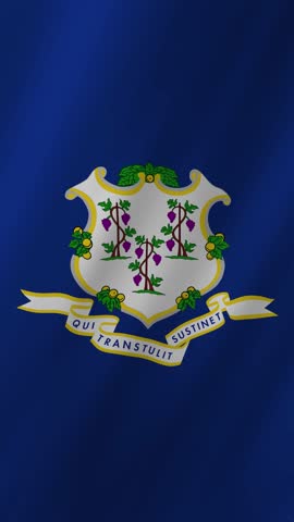 Vertical Connecticut Flag Waving, 4K High Quality Realistic Motion