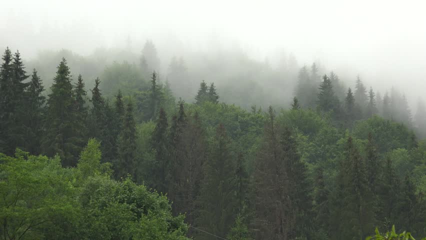 Storm Raining Clouds, Fog in Mountains on Rainy Cloudy Day, Stormy Mist Smoke Mystical Foggy Forest, Alpine Wood Overcast Timelapse