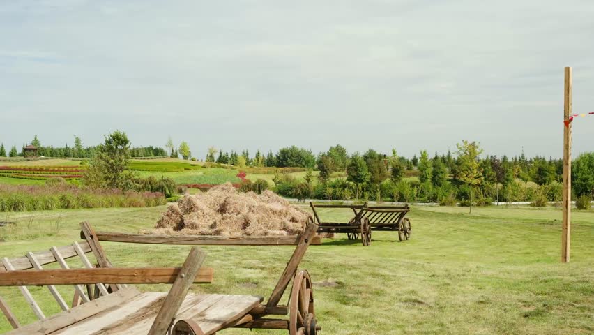 Wooden hay cart and vintage wagon on grassy field with trees and distant hills
