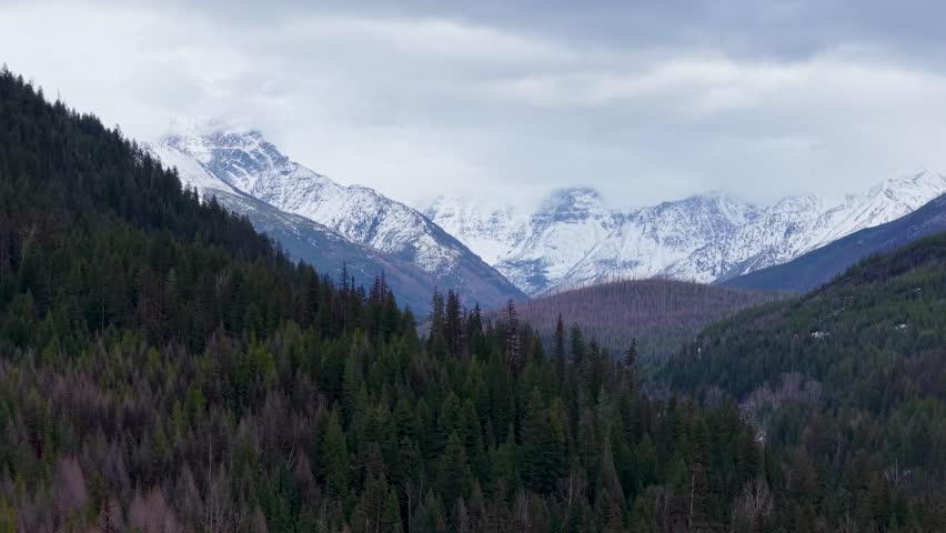 Aerial drone shot of snow-capped mountains rising above dense evergreen forest and a winding river valley near Whitefish, Montana.