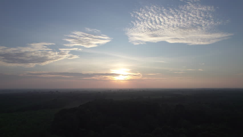 Cinematic wide aerial shot moving forward over a vast green forest at sunrise, approaching the sun on the horizon, symbolizing discovery, progress, and natural beauty.