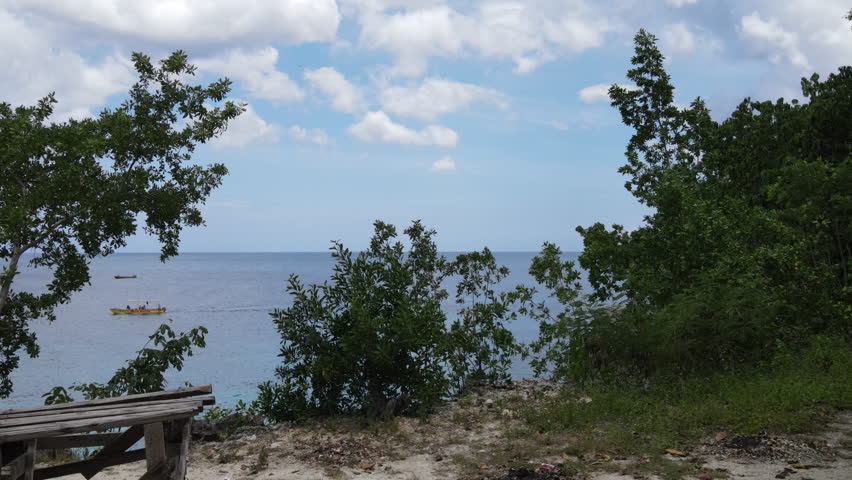 Aerial drone view of the rugged limestone cliffs in West End, Negril, Jamaica, overlooking the deep turquoise Caribbean Sea.
