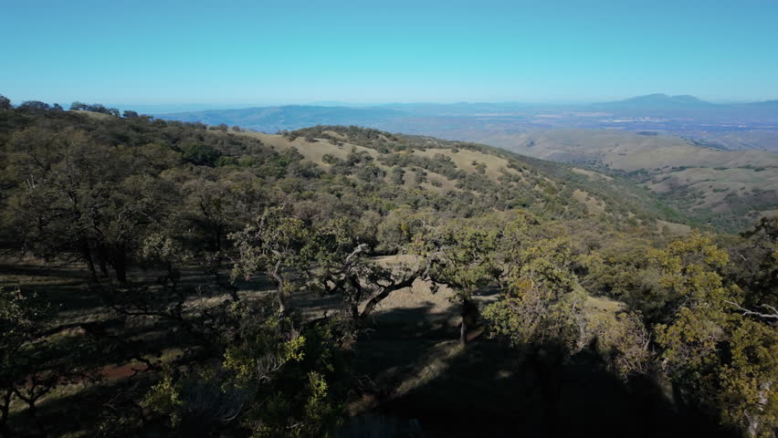 Pan across dry chaparral and oak-covered hills in Sunol Regional Wilderness, showing rolling terrain and native vegetation in a California park landscape