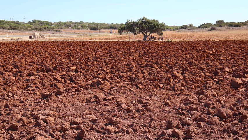 Red soil and so called Tree of Lovers in Cape Greco National Park in Cyprus, 4k