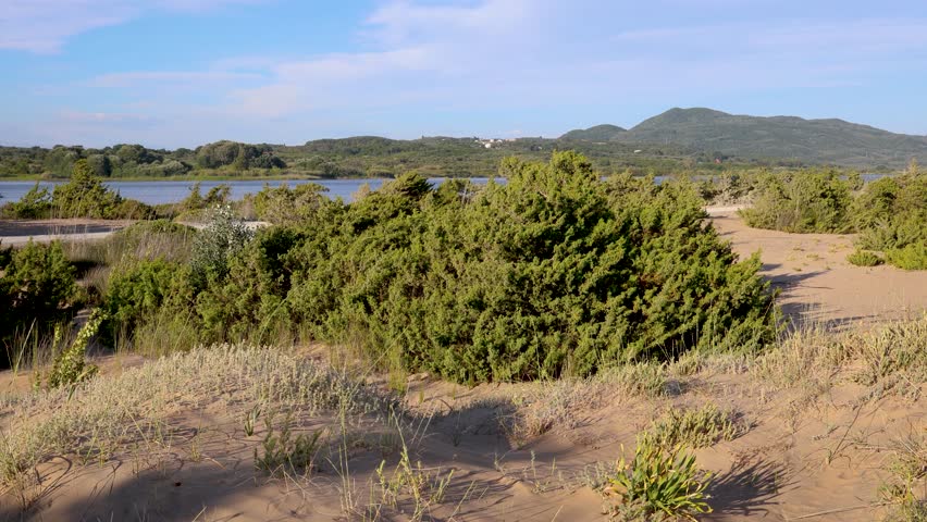 Plants on dunes over Korission coastal lagoon located in the southern part of the Greek island of Corfu, in the Ionian Sea, 4k video