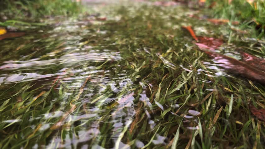 streaming water flowing at the longshaw estate in the peak district 