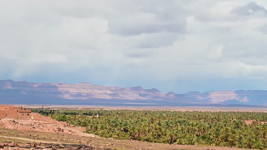 Panoramic view of a large, lush palm tree oasis in Morocco, with arid desert terrain and mountains under a cloudy sky in the background
