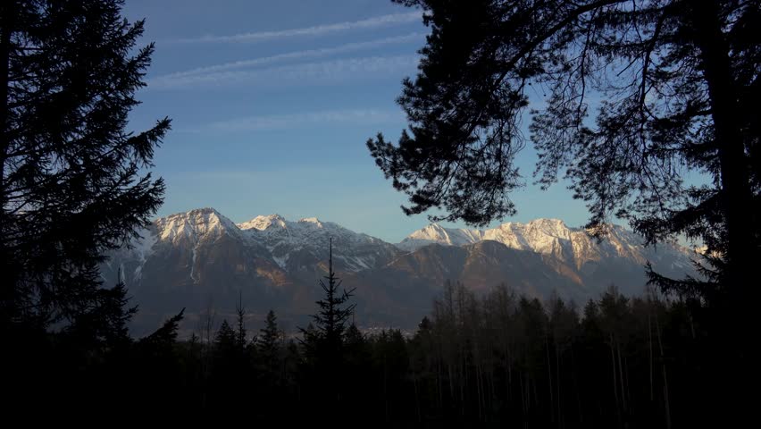 White Peaks of Alps Mountains in Tyrol Austria Seen Through Silhouettes of Pine Forest Branches