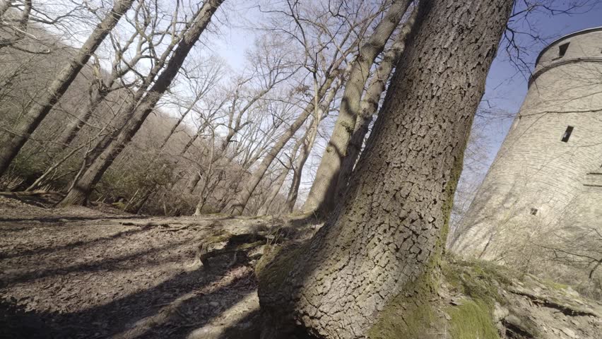 This evocative wide-angle shot features an ancient-looking cobblestone road stretching into a quiet forest. The camera is positioned low to the ground, highlighting the rugged, uneven texture of the stones in the foreground. Tall, slender trees with bare branches line the path, suggesting a late winter or early spring setting. The soft, natural lighting creates a peaceful, nostalgic atmosphere that invites the viewer to wonder where the road leads. 
