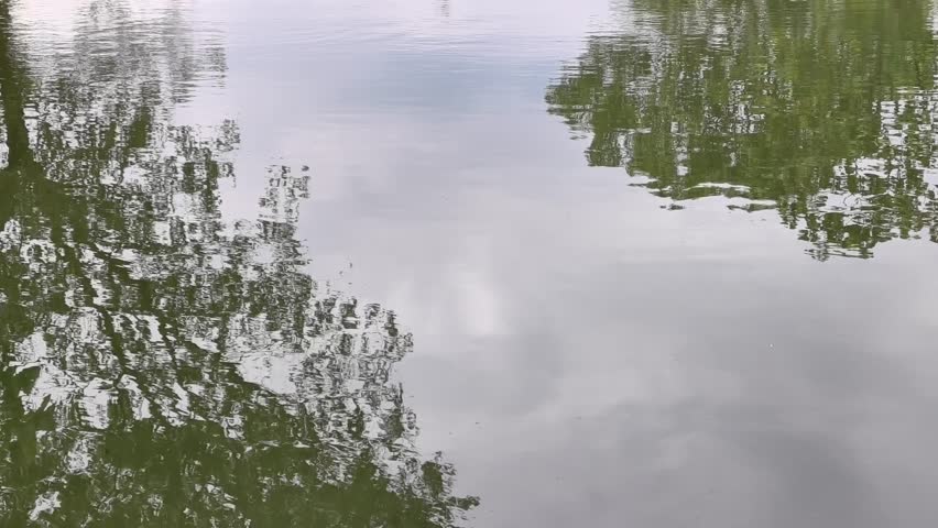 Serene pond reflection of lush green trees and soft white clouds. Peaceful nature background for wellness and meditation.