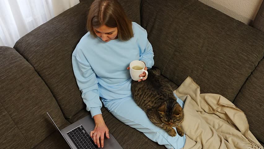 Happy woman sitting on sofa home with legs covered by blanket, holding cup of coffee, browsing social media on laptop while her gray tabby cat sits on her lap. Cozy slow weekend morning.