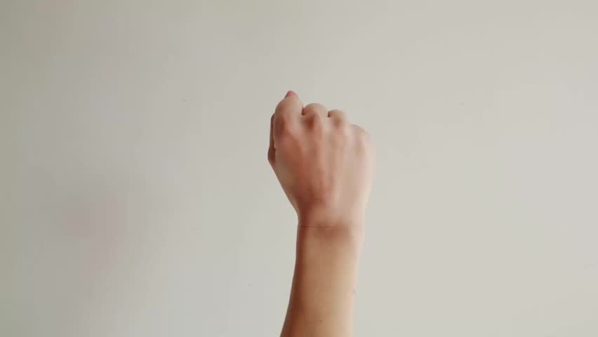 
Female hand counting numbers from one to five using fingers isolated on white background. Human hand showing sequential counting gesture.
