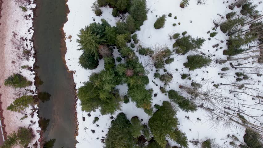 Aerial topdown view of river and pine trees in Montana