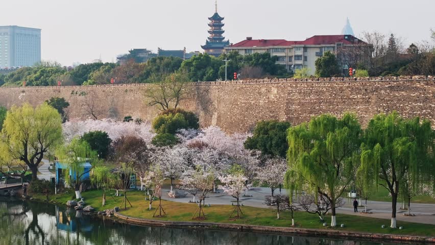 Ancient city wall and Jiming Temple tower with cherry blossoms in Nanjing, China