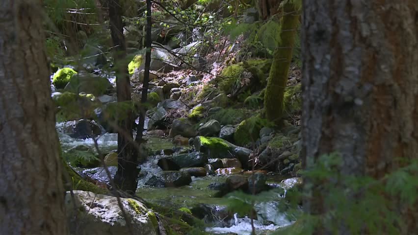 River Flowing Over Mossy Rocks At Eldorado National Forest In Eastern California, USA. Close-up Shot
