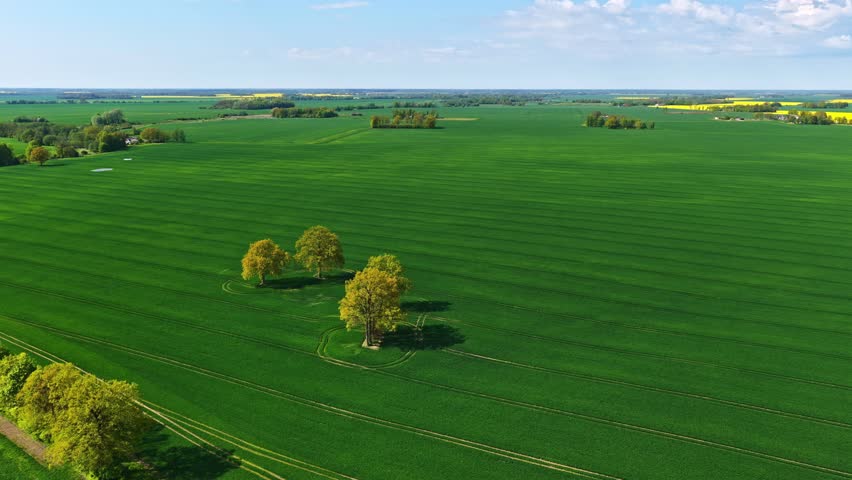 High-altitude panoramic drone view of vast green fields with a few trees here and there.
