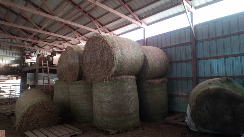 Stacks of Hay bales in a bright and sunny barn. Used for farming and cattle.