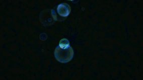 Video of glowing orbs in dark environment - Powered by Shutterstock - Get 15% off with code: PIKWIZARD15