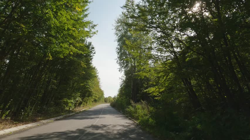 Long turning section of road of local asphalt road with trees and bushes on both sides in autumn sunny day, view while moving car along the road 
