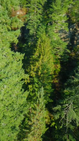Unusual aerial view of Brandywine Falls filmed on FPV drone.