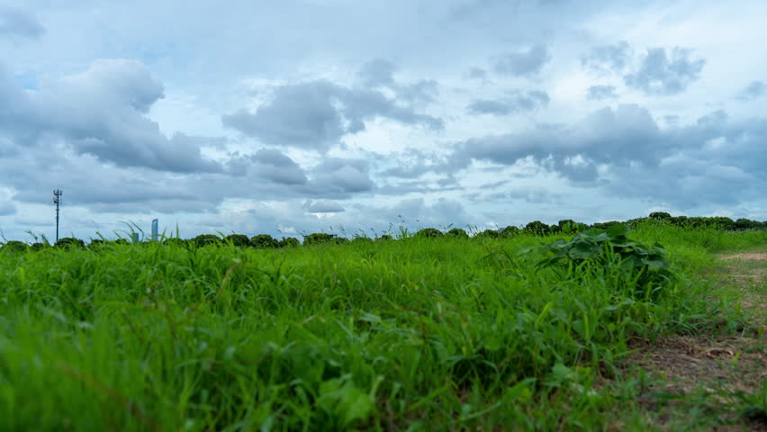 Vast Grassland and Sky with Drifting Cloud Formations 4K Timelapse
