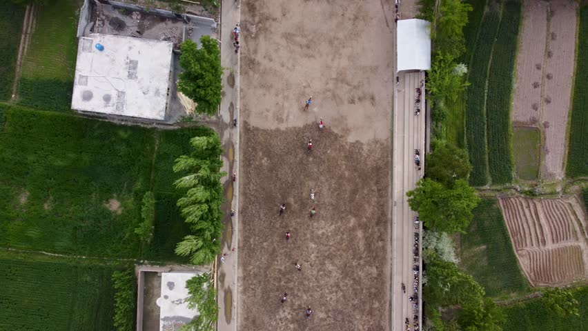 Polo Players Riding Horses on Outdoor Field