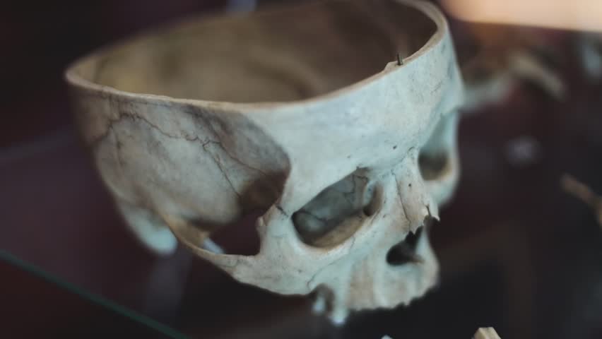 A close-up view of a skull sitting on a glass table, providing a eerie and mysterious atmosphere.