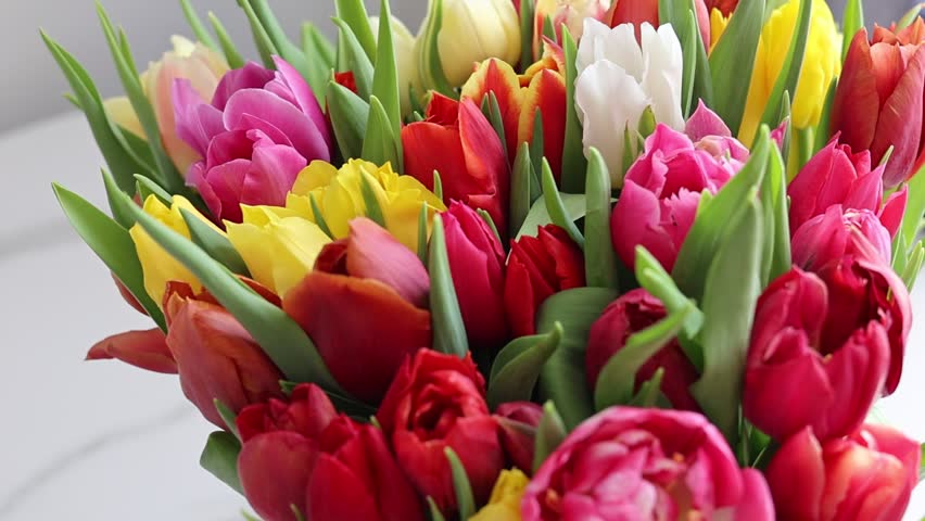 Bouquet of colorful tulips for March 8