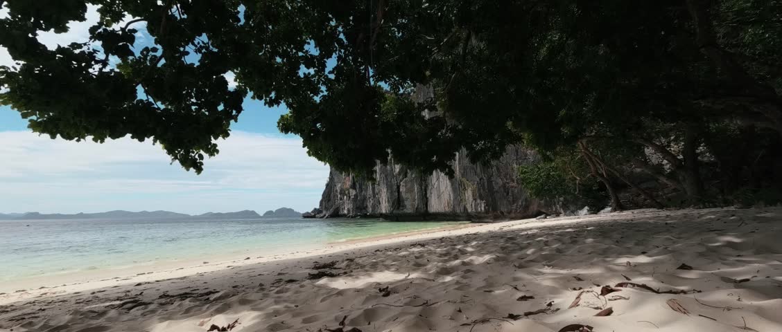 tropical beach with trees and cliffs in philippines
