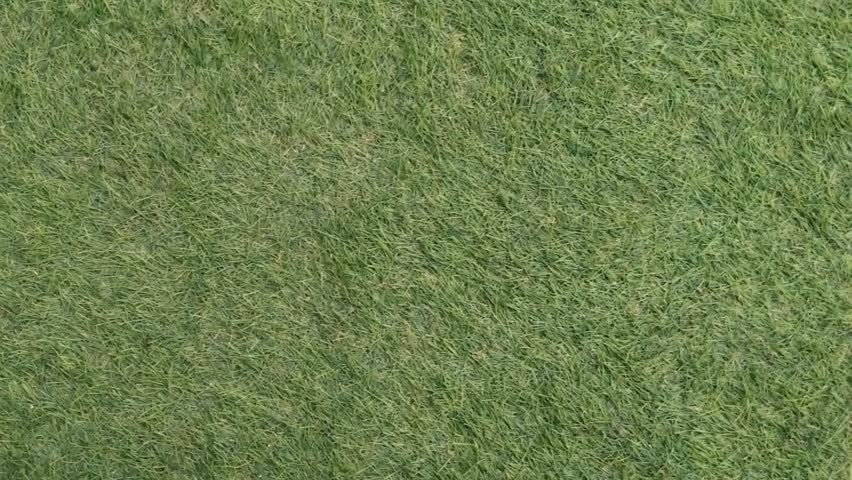 
​Top-down aerial view of lush green artificial turf texture. High-quality synthetic grass background with seamless natural pattern for sports, landscaping, and outdoor architectural design.