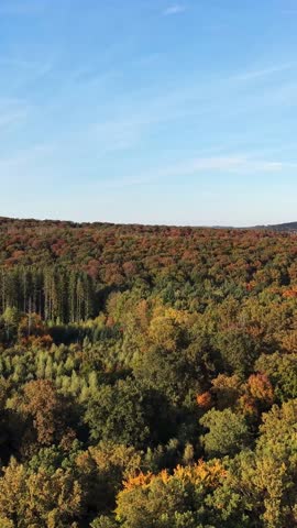 Picturesque autumn landscape – Golden October in the wooded hills