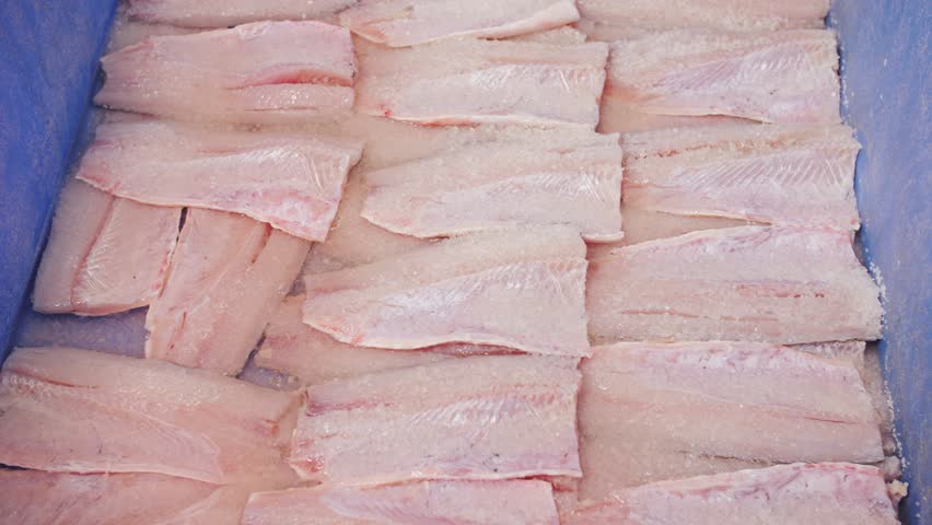 Frozen whitefish fillets stacked in blue container