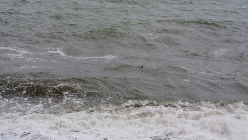 A serene, horizontal shot of a gentle turquoise wave breaking into soft white foam on a dark pebble beach. The clear water of the Black Sea stretches toward the horizon under a soft, diffused light, creating a peaceful and calming atmosphere. The foreground is filled with various smooth, wet stones and pebbles, characteristic of the natural coastal landscape in the Adjara region. This composition captures the raw, untouched beauty of the Georgian seaside, ideal for travel and nature-themed content.