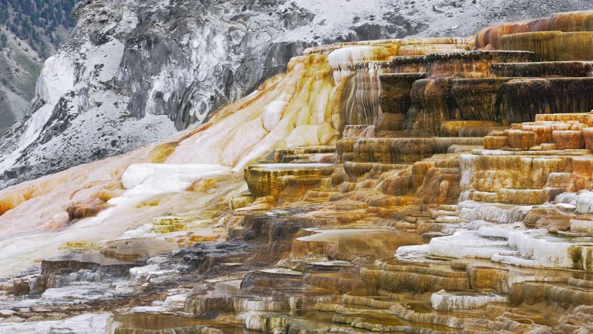 Thermal water in Yellowstone National Park cascades over vibrant orange and white travertine mineral terraces, wide view