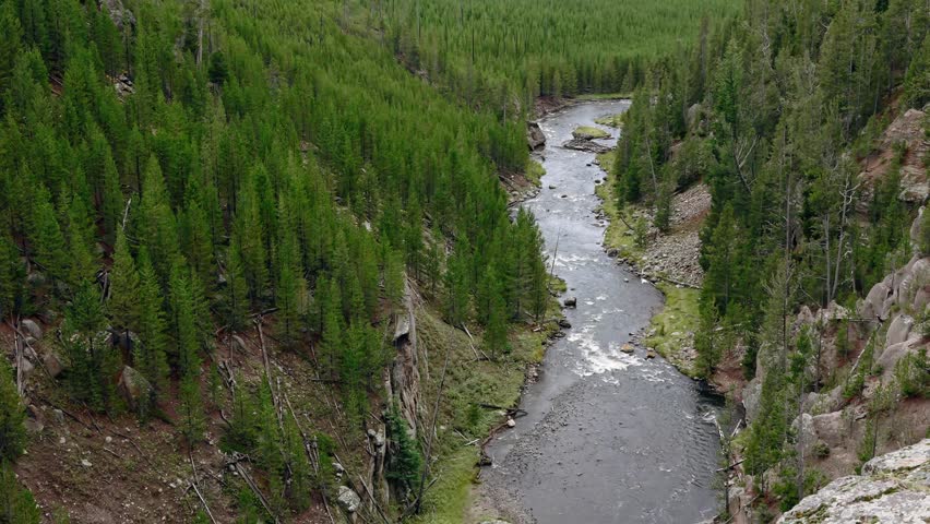 River in Yellowstone National Park forest with blue water and white ripples flowing, rushing, streaming, cascading, and meandering over rocks, aerial view, slow motion