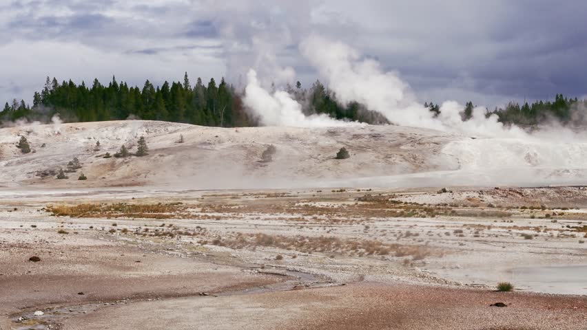 A wide landscape of the Porcelain Basin in Norris Geyser Basin featuring white steam rising from active geothermal vents in Yellowstone National Park, Travel destination, Geology tourism