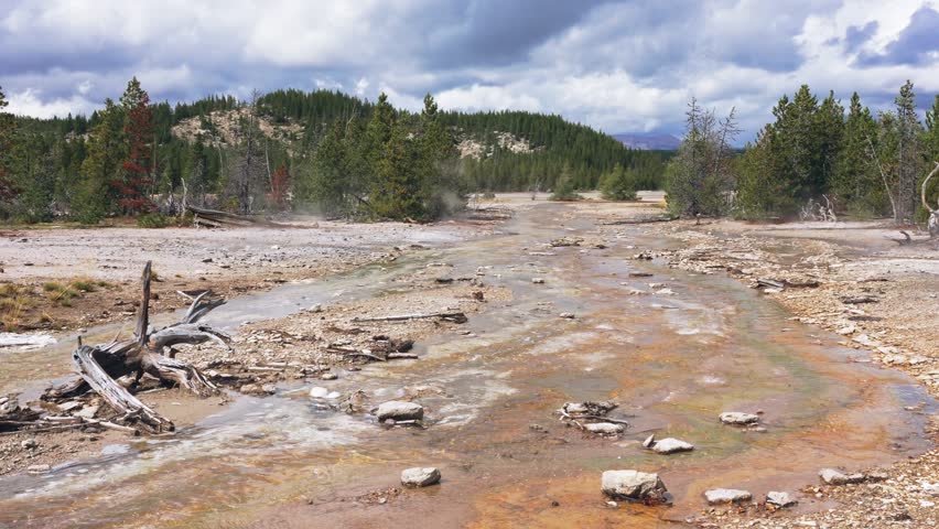 Mineral rich hot geothermal stream flowing through a geothermal basin landscape. with steam vents and forest in Yellowstone National Park, National park tourism, Volcanic geology