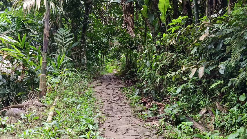 Mountain Footpath Trail Through Lush Green Hills – Natural Hiking Path in the Countryside