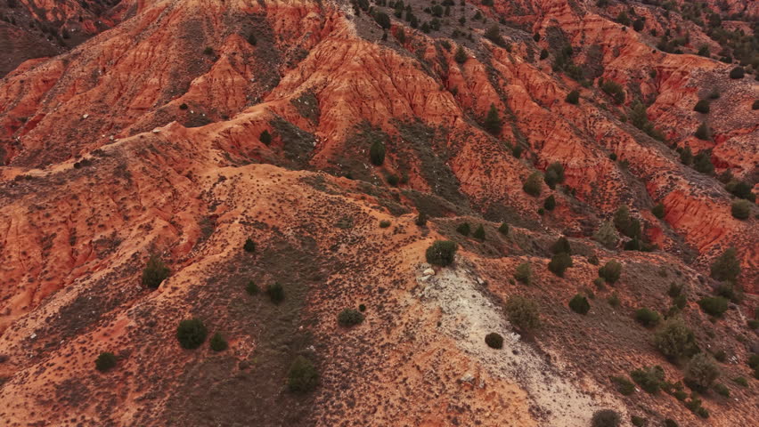 A canyon with orange and brown rock formations. Small trees are scattered across the slopes. The ground has natural patterns and textures. The sunlight enhances the details.