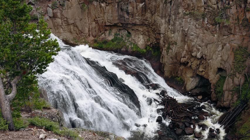 Powerful waterfall cascading and rushing through rocky canyon cliffs in Yellowstone National Park with pine trees and rugged volcanic landscape, Hydrology, National Park