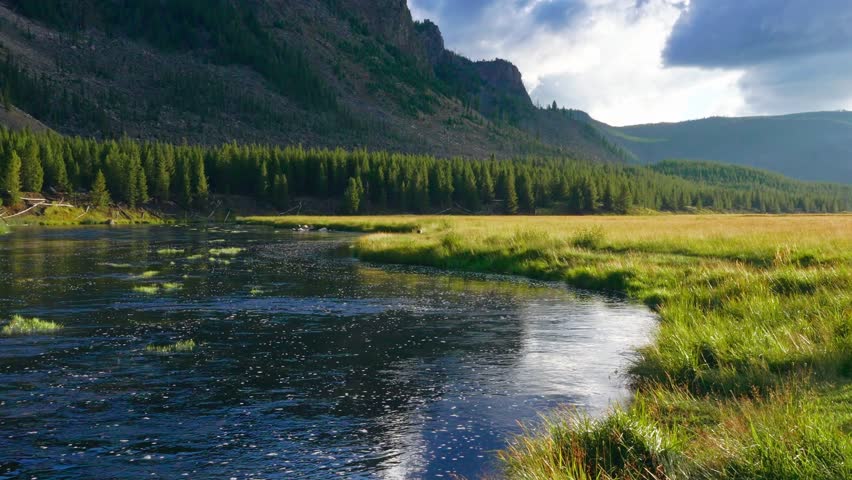 Clear river water flows gently through a grassy meadow in Yellowstone while pine forest and mountains rise behind under dramatic clouds, sunset light