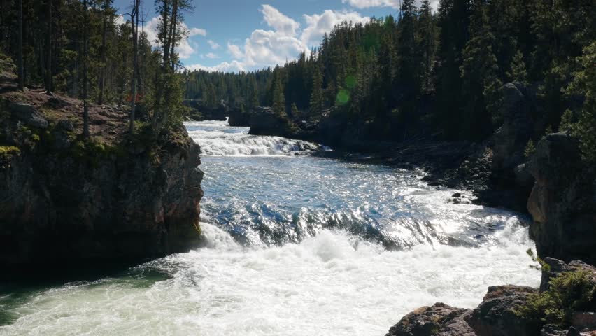 River water cascades over rocky ledges forming a powerful waterfall flowing through a forest canyon in Yellowstone National Park under blue sky,