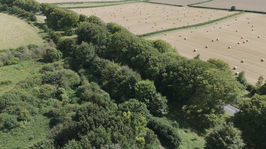 Aerial drone flight over a line of green trees revealing a large agricultural field with round hay bales.