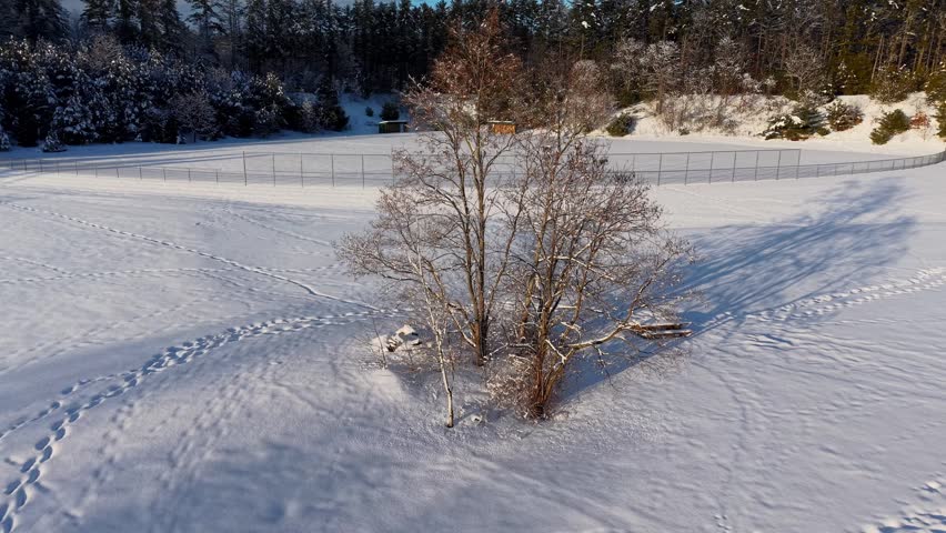 Winter aerial view featuring a snowy Little River Park and the surrounding woods in Lee, New Hampshire